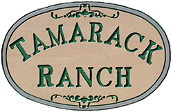 Tamarack Boarding Ranch